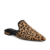 ALL