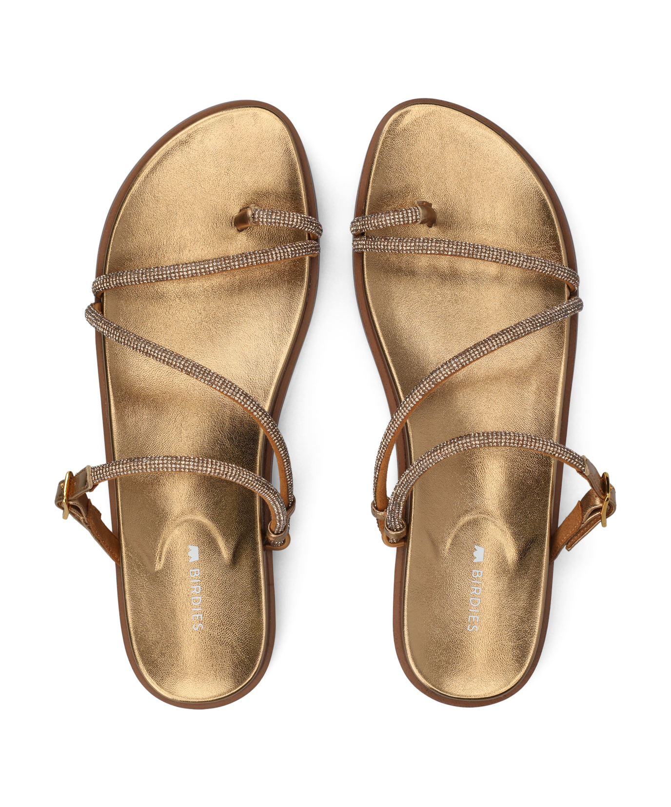 SUN-GLJ_WEB2.png